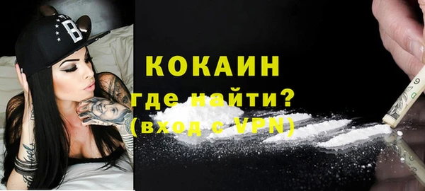 ГАЛЛЮЦИНОГЕННЫЕ ГРИБЫ Михайлов