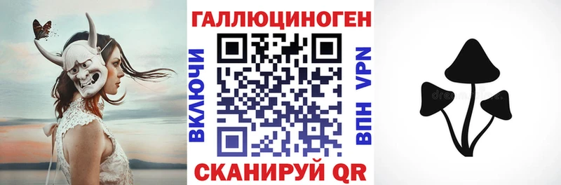 Псилоцибиновые грибы мицелий  Пугачёв 