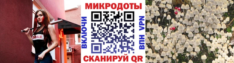 Галлюциногенные грибы Psilocybe Пугачёв